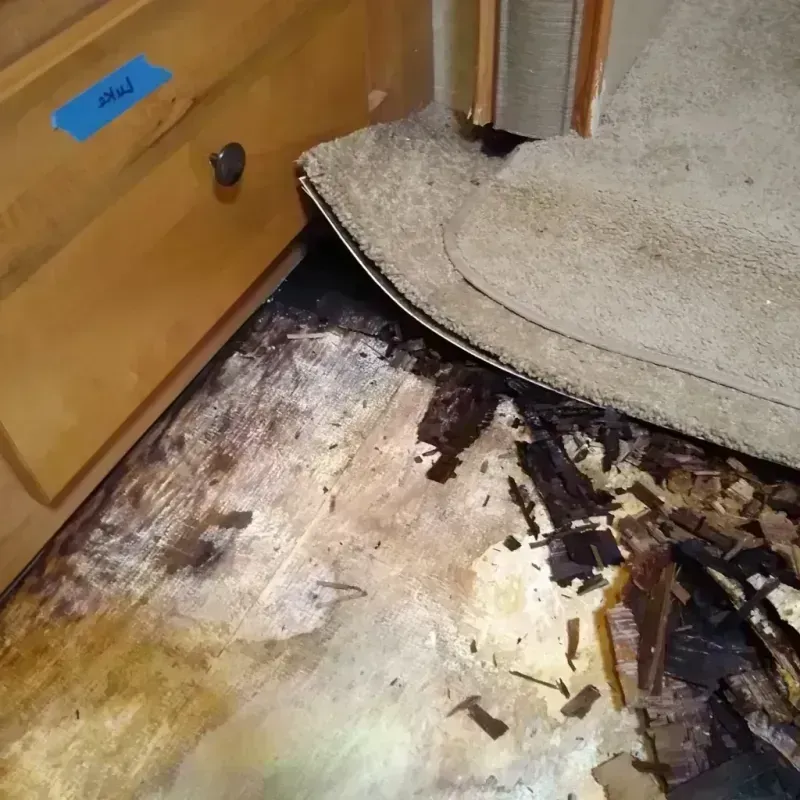 Wood Floor Water Damage in Beckley, WV